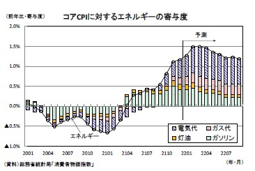 コアCPIに対するエネルギーの寄与度