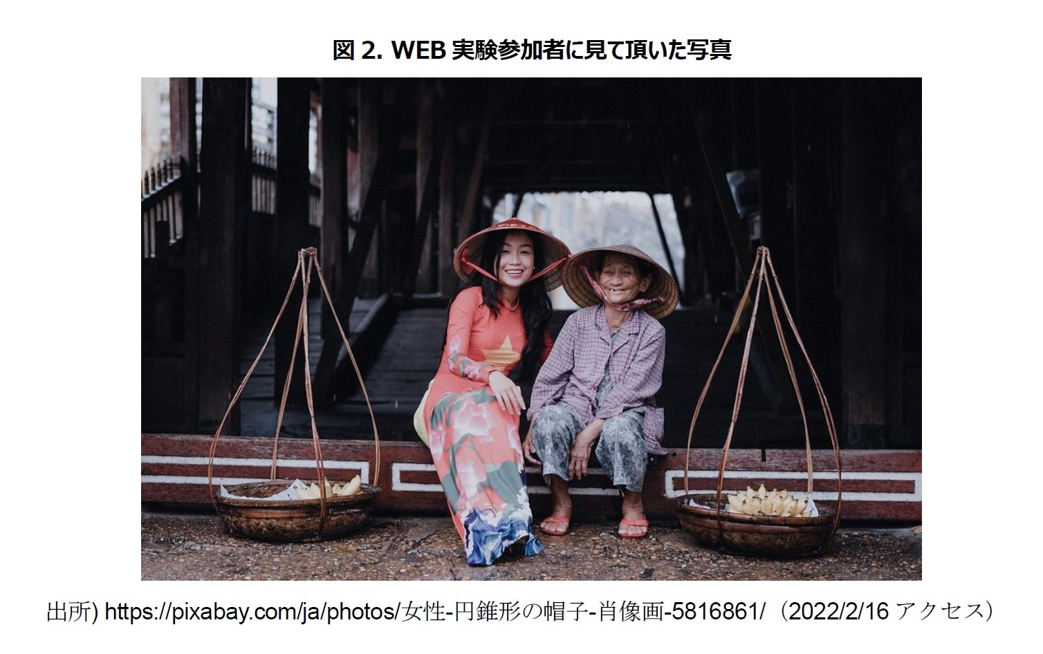 図2. WEB実験参加者に見て頂いた写真