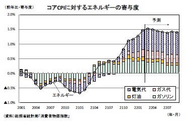 コアCPIに対するエネルギーの寄与度