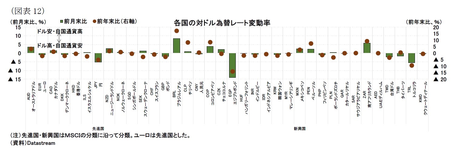 （図表12）各国の対ドル為替レート変動率