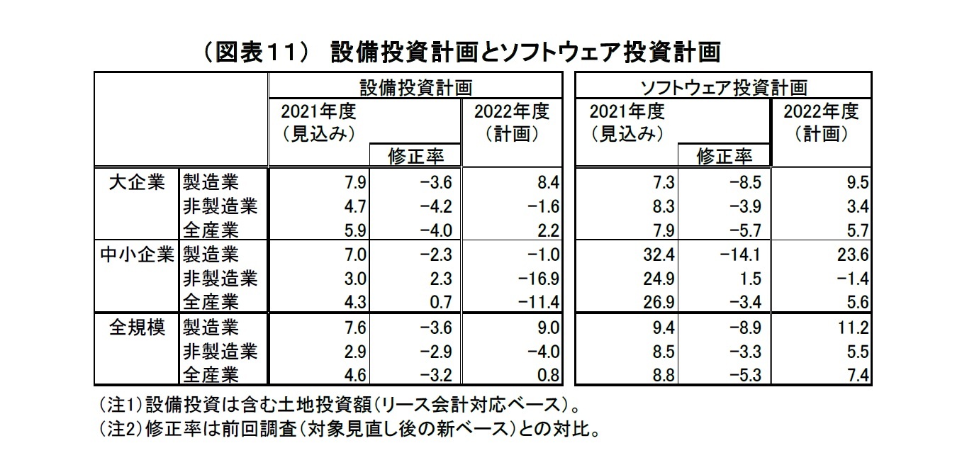 （図表１１）　設備投資計画とソフトウェア投資計画