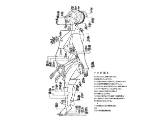基礎研ＲＥＰＯＲＴ（冊子版）5月号[vol.302]