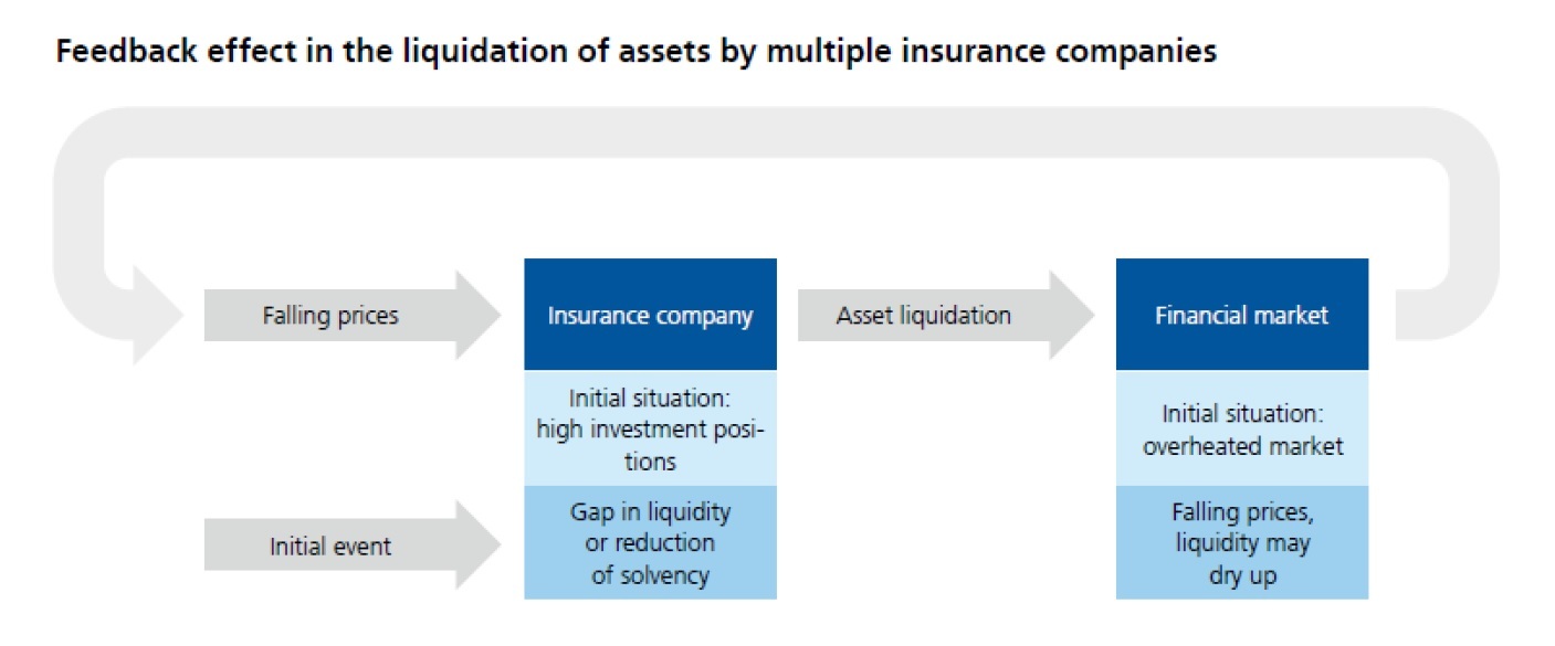 Feedback effect in the liquidation of assets by multiple insurance companies