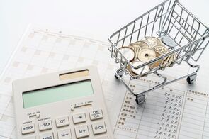 消費者物価（全国22年4月）－コアCPI上昇率は、消費税引き上げの影響を除くと08年9月以来の2％台