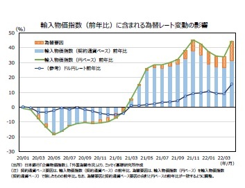 輸入物価指数（前年比）に含まれる為替レート変動の影響