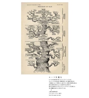 基礎研ＲＥＰＯＲＴ（冊子版）6月号[vol.303]