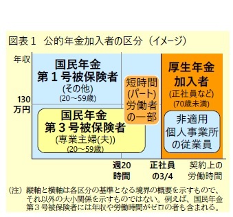 図表１ 公的年金加入者の区分（イメージ）