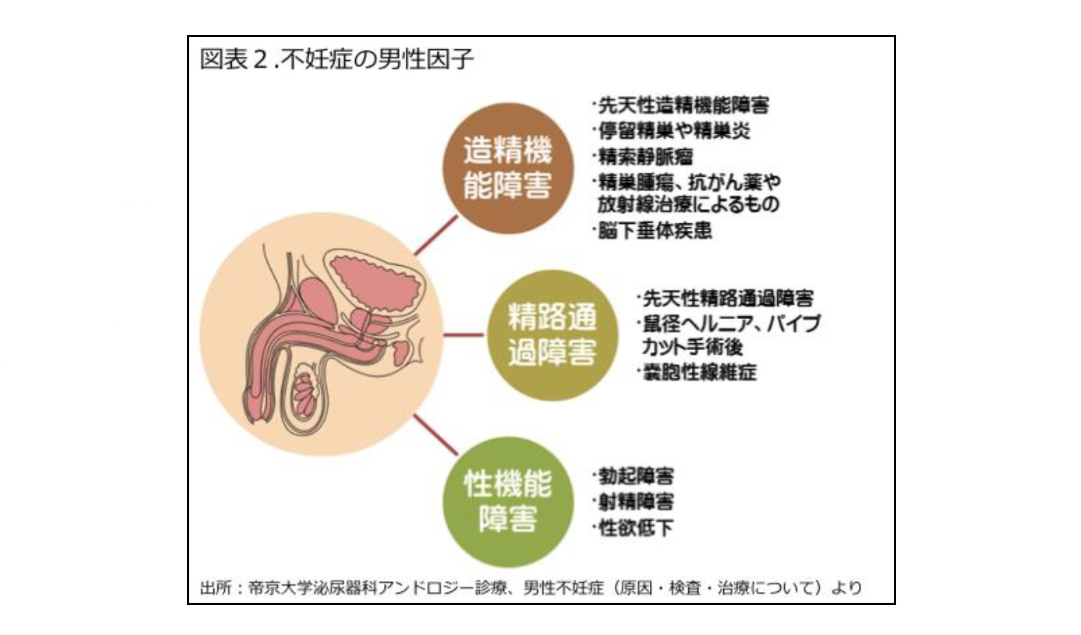 図表2.不妊症の男性因子