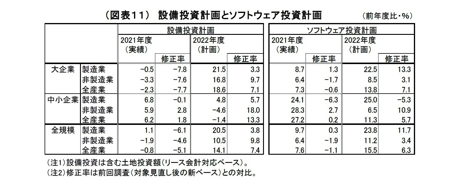 （図表１１）　設備投資計画とソフトウェア投資計画