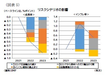 （図表5）リスクシナリオの影響