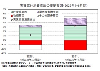 実質家計消費支出の変動要因（2022年4-6月期）