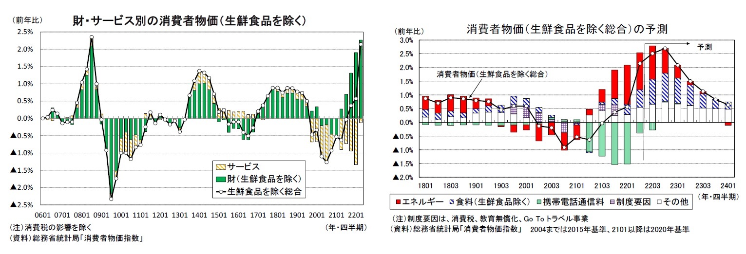 財・サービス別の消費者物価（生鮮食品を除く）/消費者物価（生鮮食品を除く総合）の予測