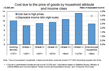 Cost due to the price of goods by household attribute and income class