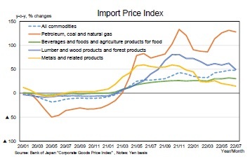 Import Price Index