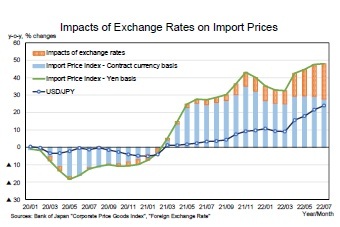 Impacts of Exchange Rates on Import Prices