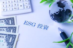 企業主導のSDGs祭りから国民主役のESG投資へ