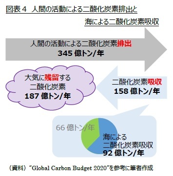 図表4　人間の活動による二酸化炭素排出と海による二酸化炭素吸収
