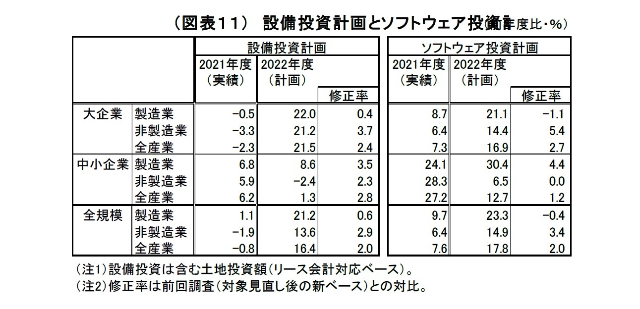 （図表１１）設備投資計画とソフトウェア投（資前計年度画比・％）