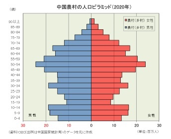 中国農村の人口ピラミッド(2020年)