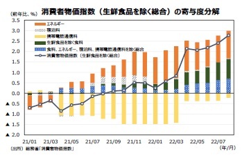 消費者物価指数（生鮮食品を除く総合）の寄与度分解