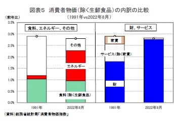 図表５ 消費者物価（除く生鮮食品）の内訳の比較（1991年vs2022年8月）