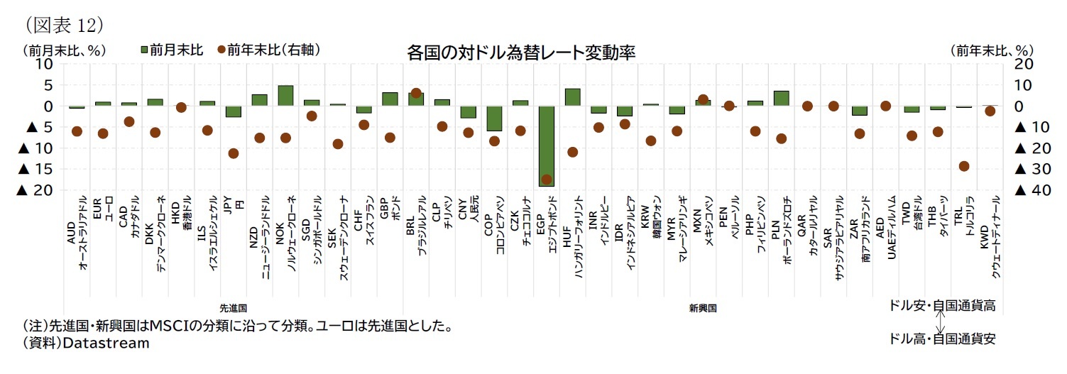 (図表12)各国の対ドル為替レート変動率