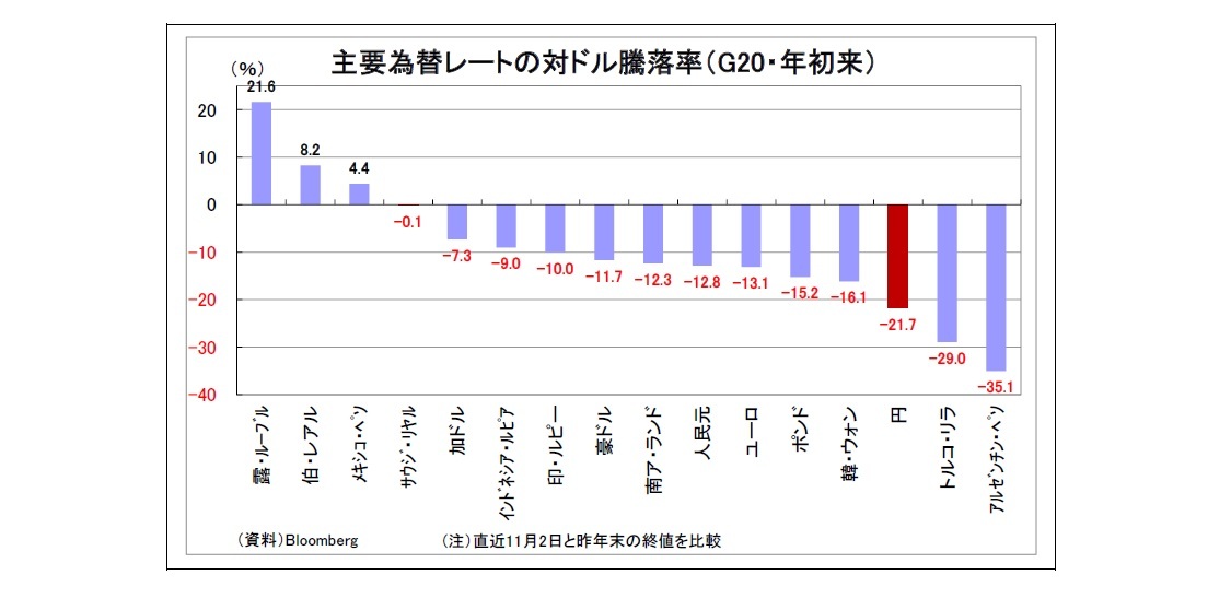 主要為替レートの対ドル騰落率（G20・年初来）