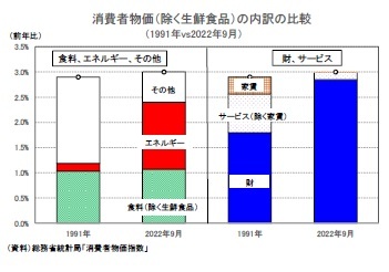 消費者物価（除く生鮮食品）の内訳の比較（1991年vs2022年9月）