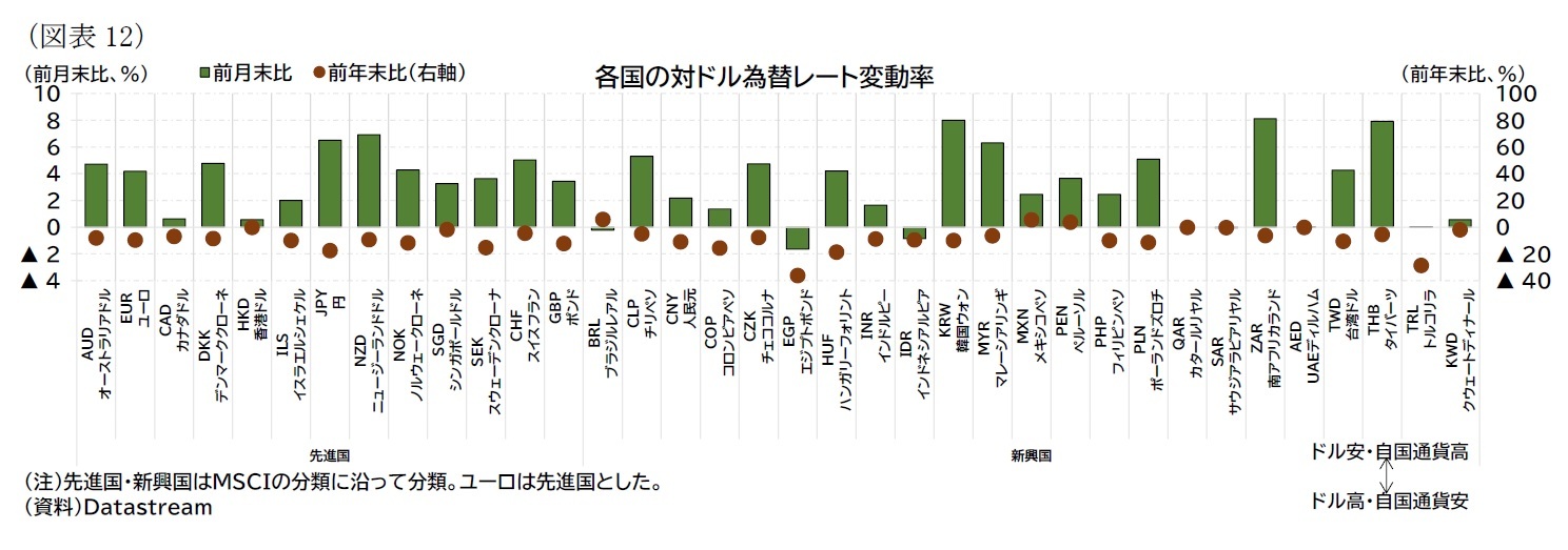 (図表12)各国の対ドル為替レート変動率