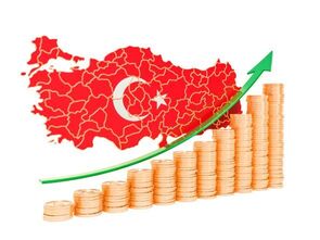 高インフレ下の低金利誘導－例外的な金融政策を指向するトルコの事例