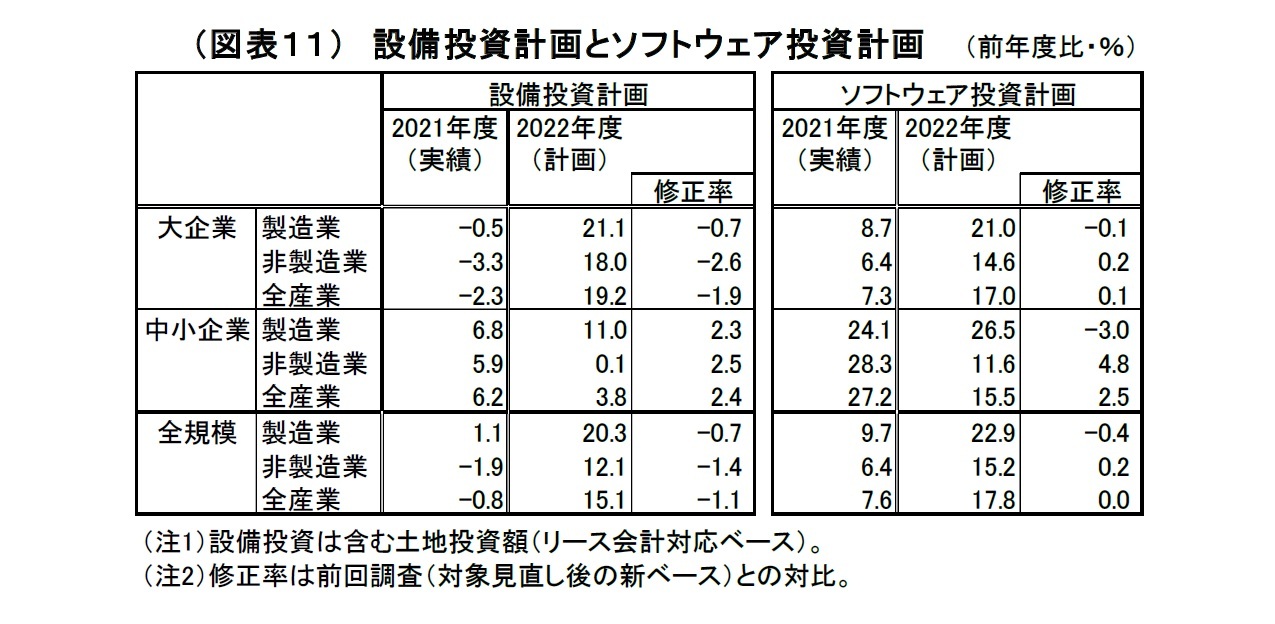 (図表11)設備投資計画とソフトウェア投資計画