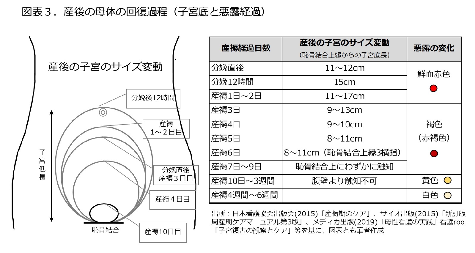 図表３.産後の母体の回復過程（子宮低と悪露経過）