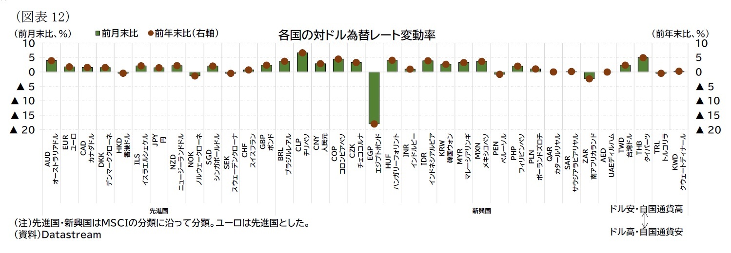 （図表12）各国の対ドル為替レート変動率