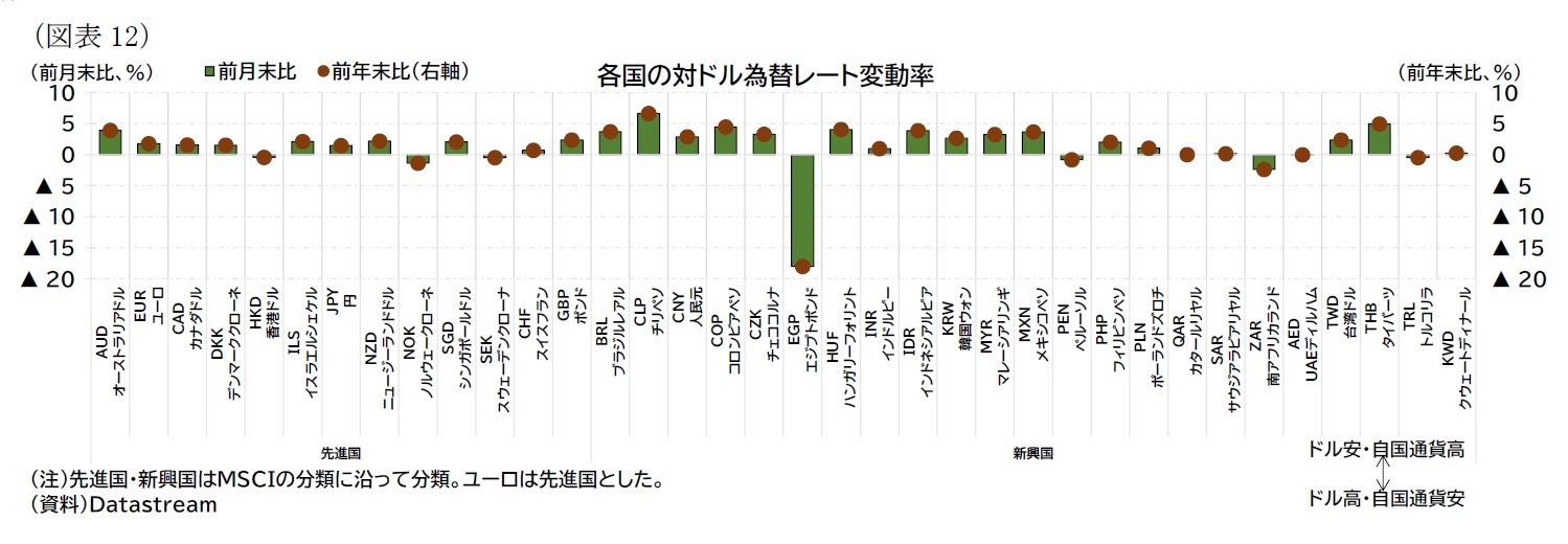 (図表12)各国の対ドル為替レート変動率