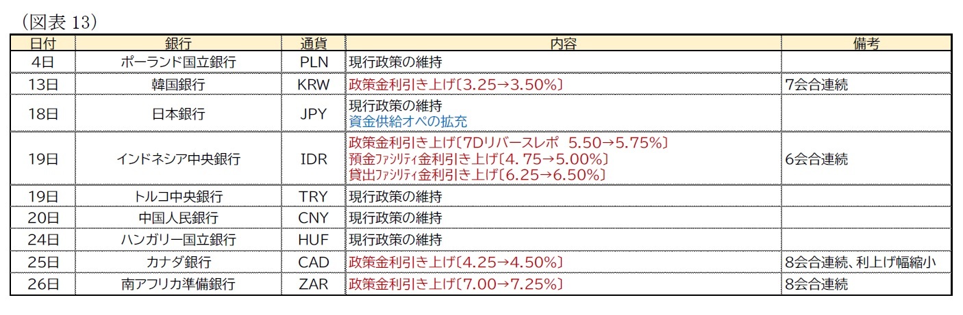 (図表13)主要地域の金融政策