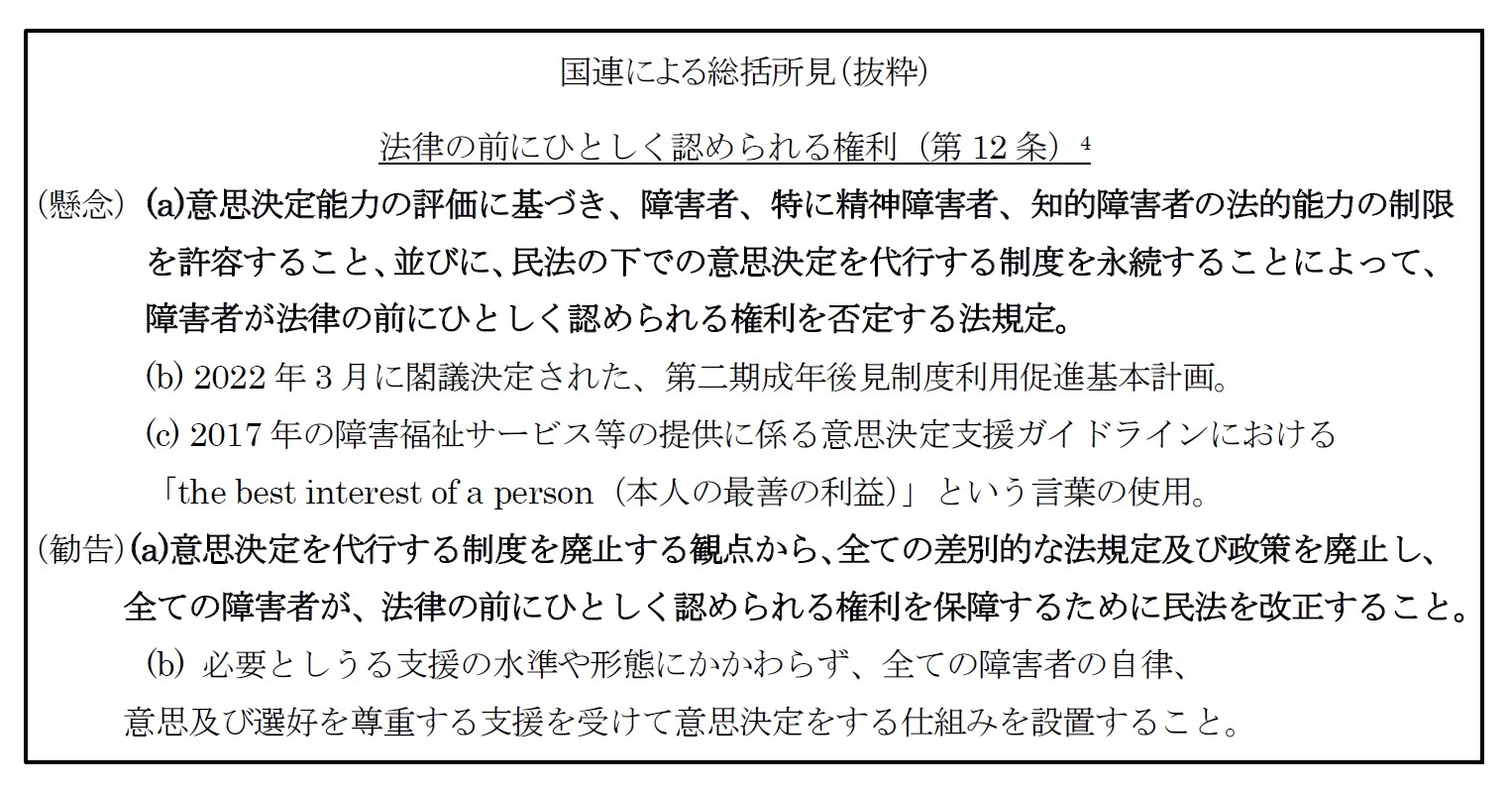 国連による総括所見（抜粋）