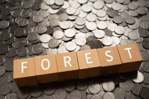 注目が高まる森林投資