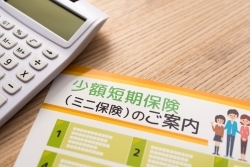 共済事業・少額短期保険の現状（2021年度まで）－収支・資産状況を中心として