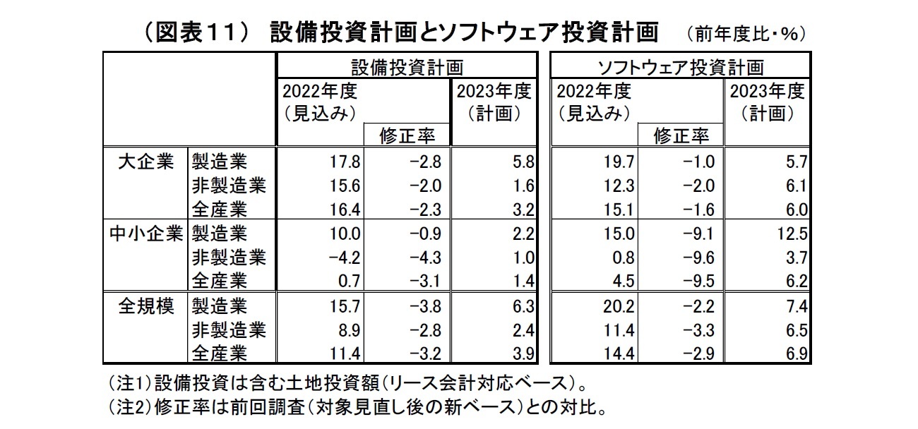 （図表１１）設備投資計画とソフトウェア投資計画