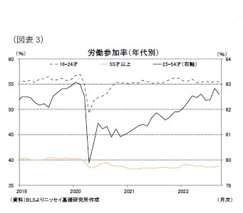 (図表3)労働参加率(年代別)
