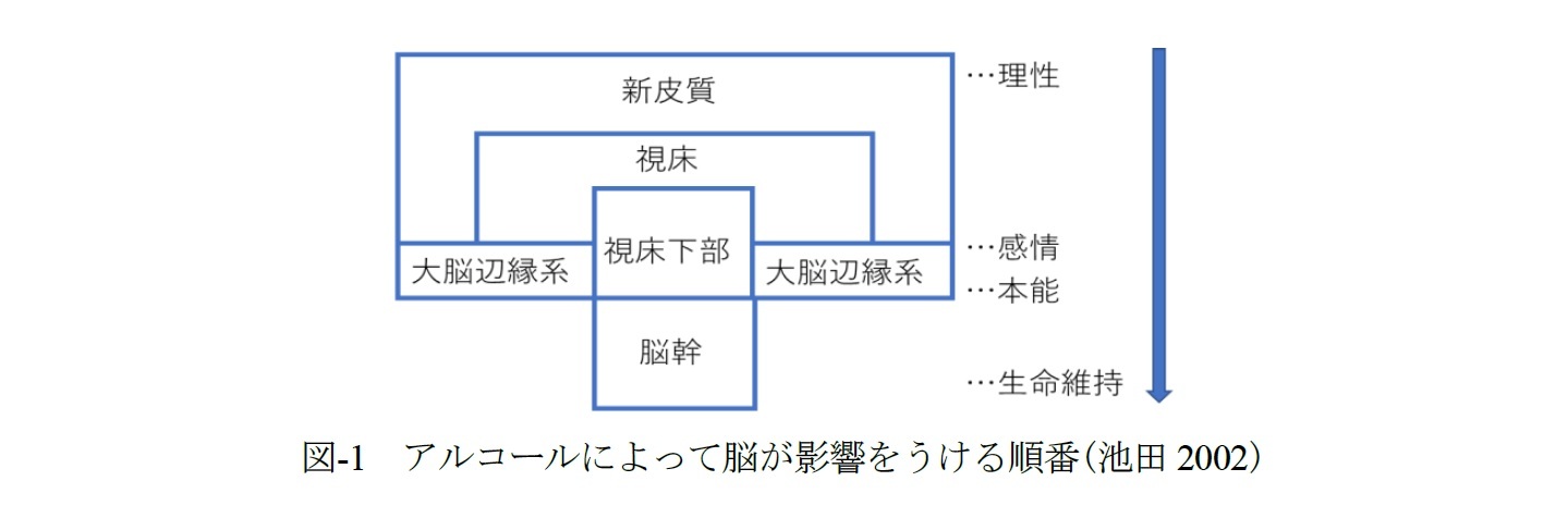 図‐1　アルコールによって脳が影響をうける順番(池田2002)