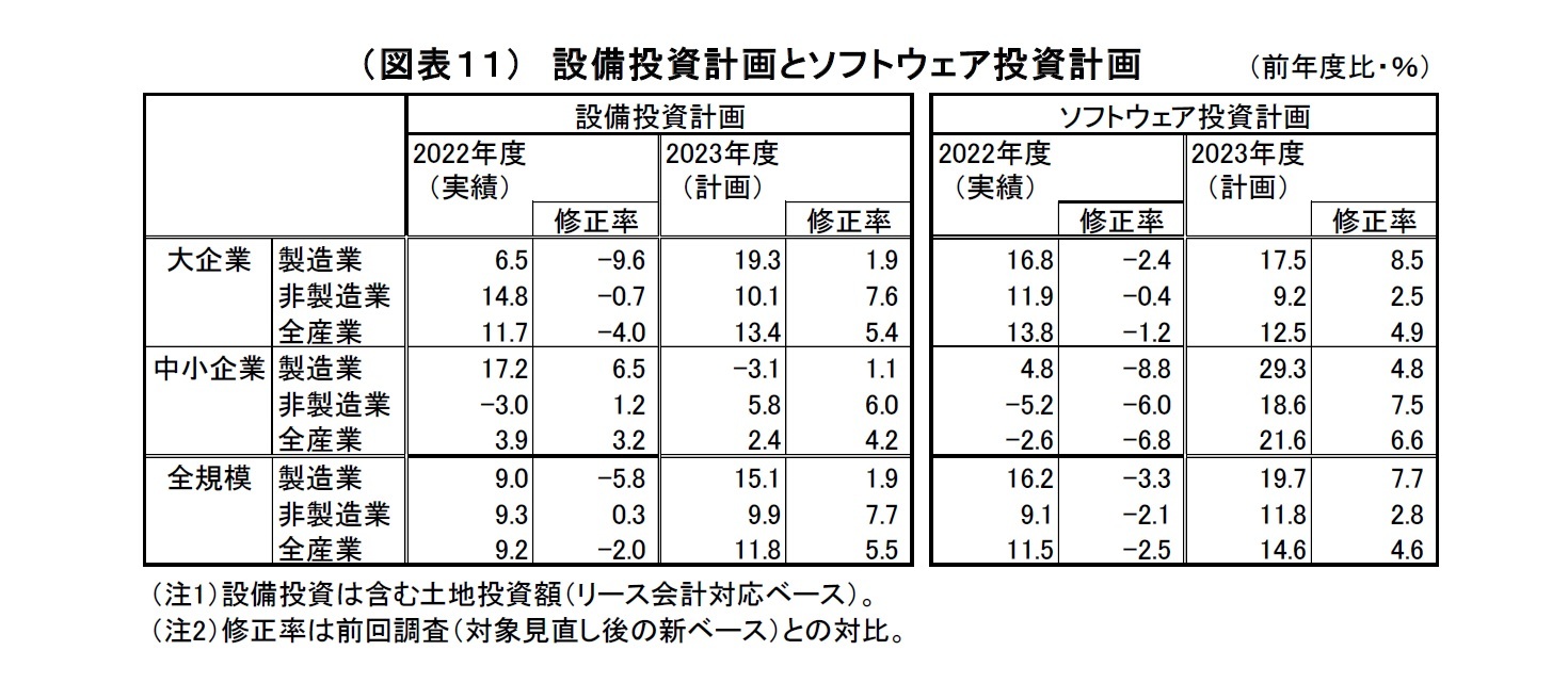 （図表１１）設備投資計画とソフトウェア投資計画