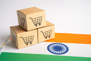 インド生保市場における 生保・年金のオンライン販売の動向－デジタル化を梃子に最先端を目指す動き－