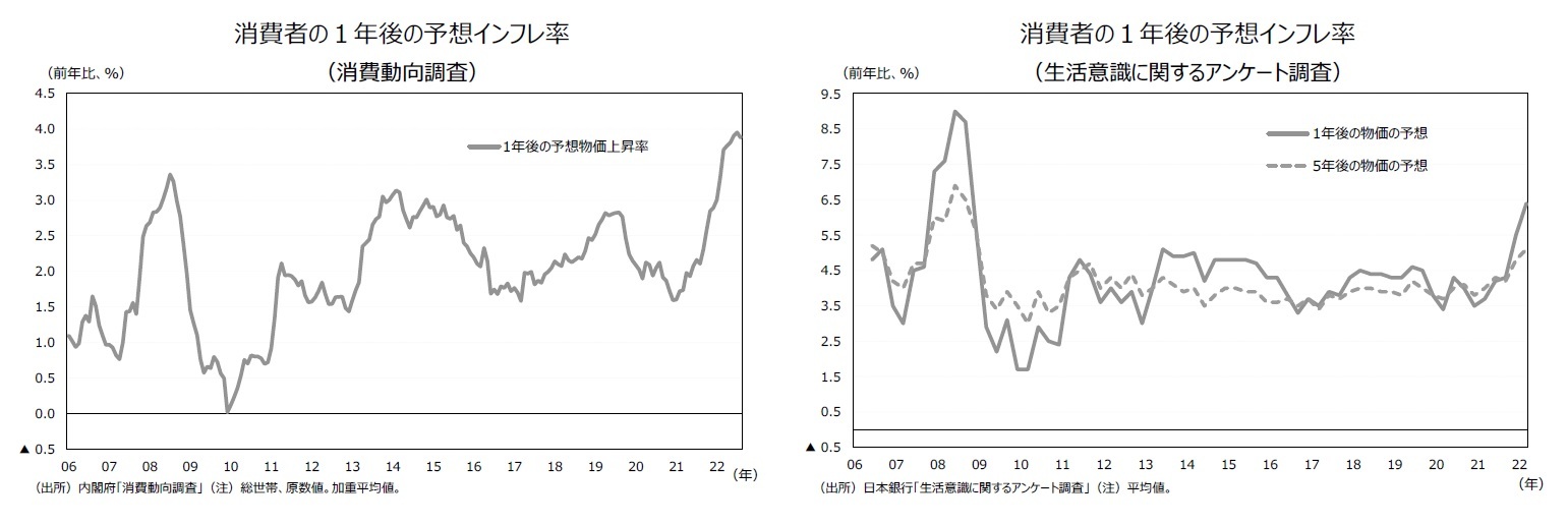 消費者の１年後の予想インフレ率（生活意識に関するアンケート調査）/消費者の１年後の予想インフレ率（消費動向調査）
