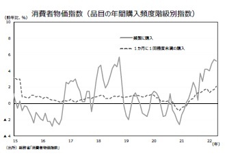 消費者物価指数（品目の年間購入頻度階級別指数）