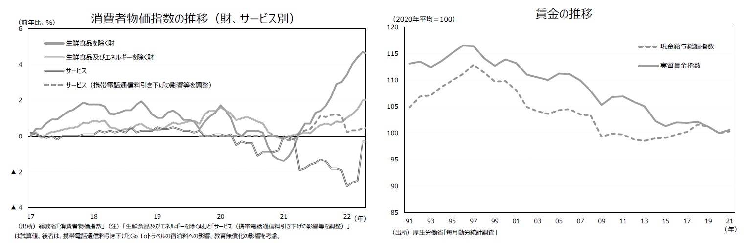 消費者物価指数の推移(財、サービス別)/賃金の推移