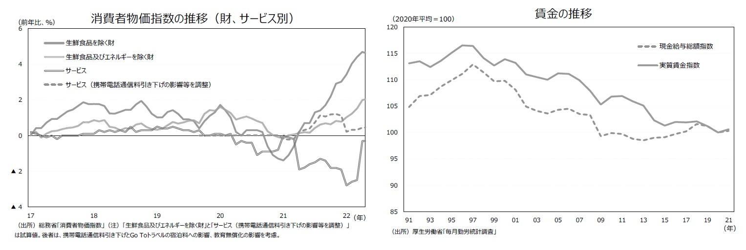 消費者物価指数の推移（財、サービス別）/賃金の推移