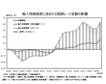 輸入物価指数（前年比）に含まれる為替レート変動の影響