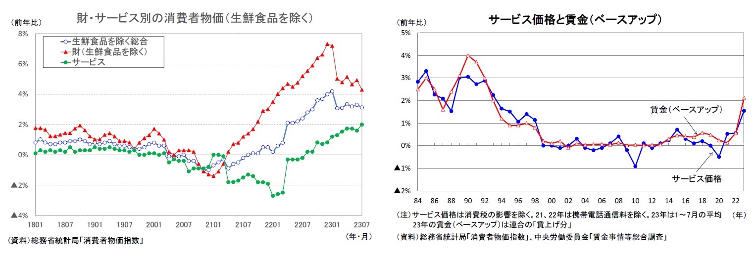 財・サービス別の消費者物価(生鮮食品を除く)/サービス価格と賃金(ベースアップ)