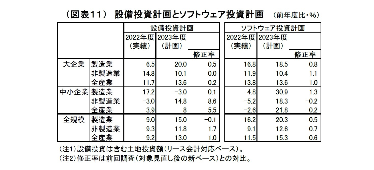 （図表11）設備投資計画とソフトウェア投資計画